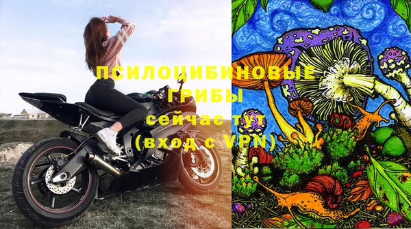спайс Карпинск