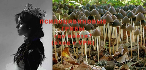 MDMA Premium VHQ Карталы