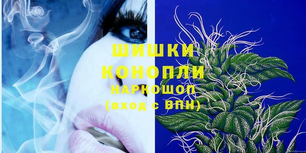 ГАЛЛЮЦИНОГЕННЫЕ ГРИБЫ Касимов