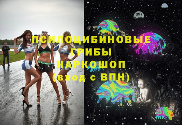 ГАЛЛЮЦИНОГЕННЫЕ ГРИБЫ Касимов