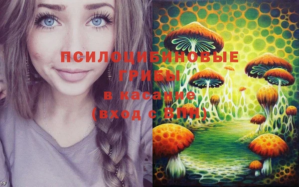 мяу мяу мука Корсаков