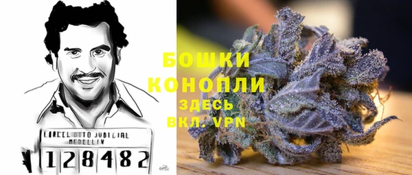 ГАЛЛЮЦИНОГЕННЫЕ ГРИБЫ Касимов