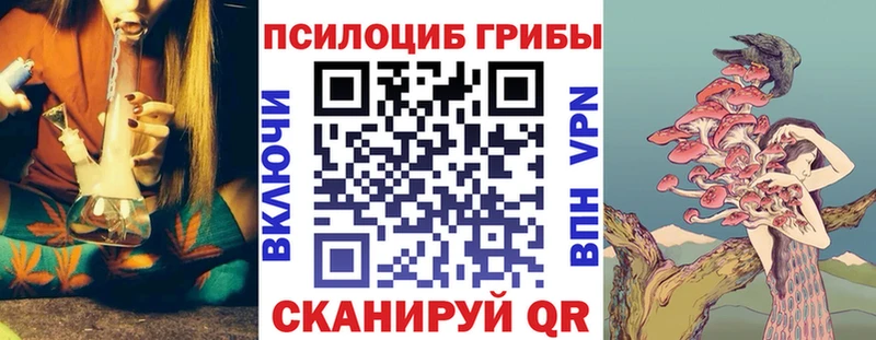 Псилоцибиновые грибы Psilocybe  Купить  Красноармейск 